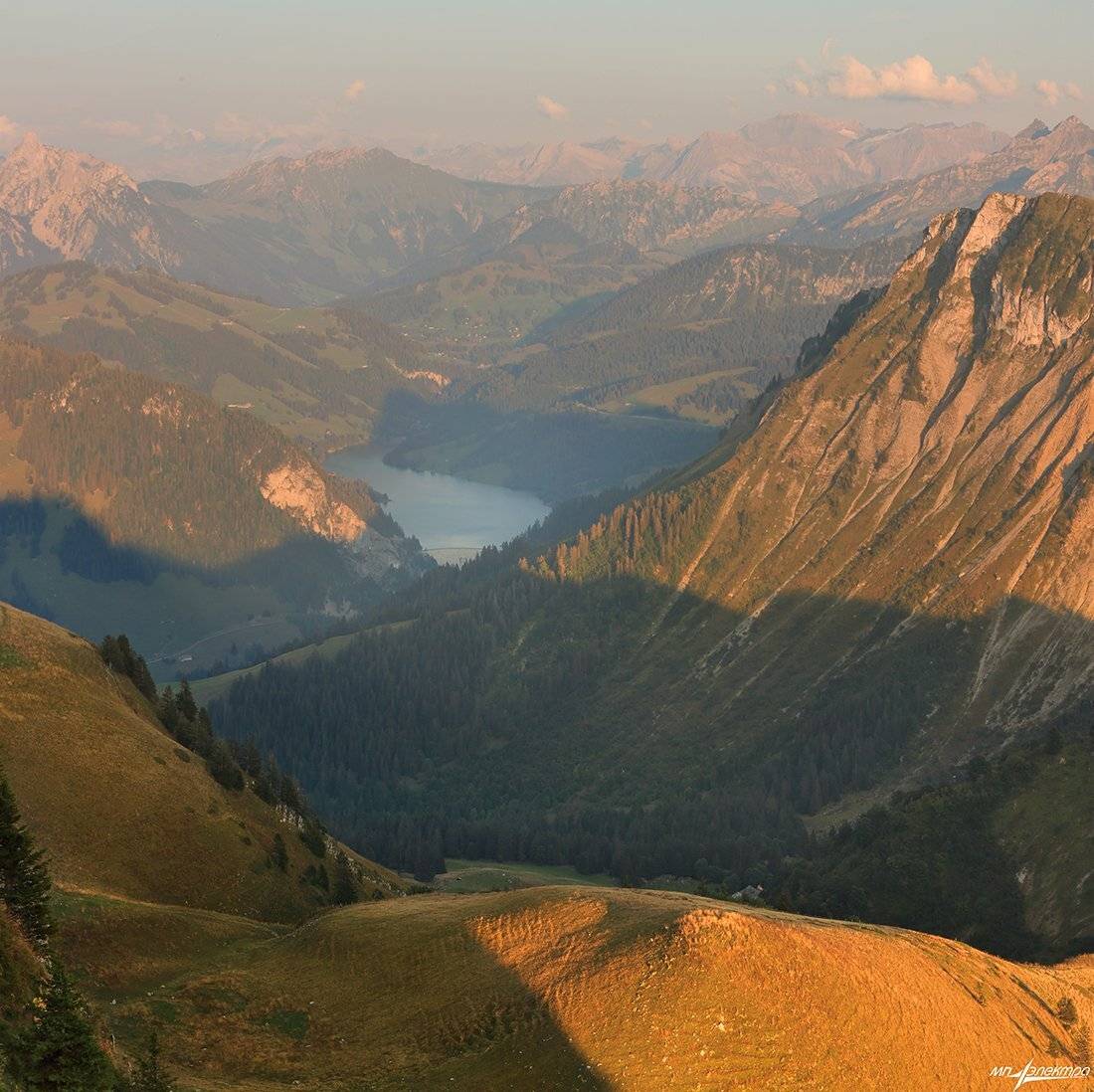 swiss, Матвеев Николай