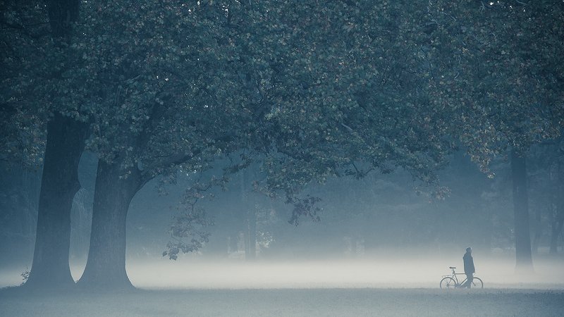 Morning фото превью