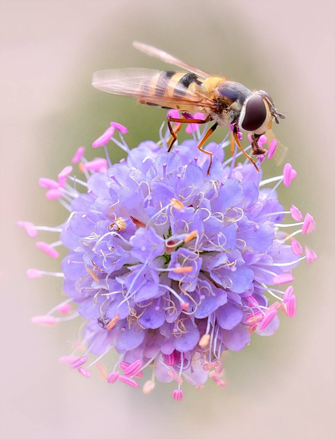 , Галина Горькавая