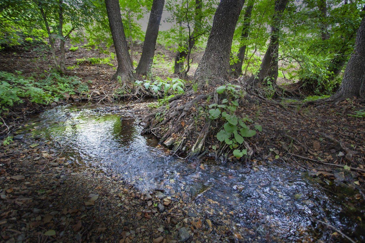 , петр чиков