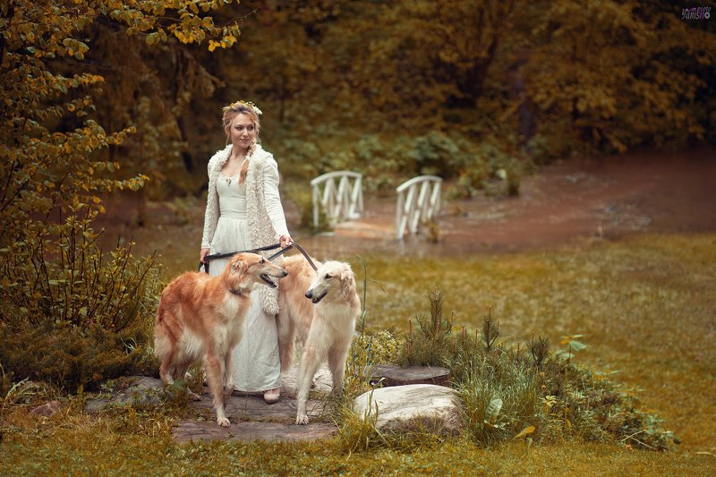 Осень фото превью