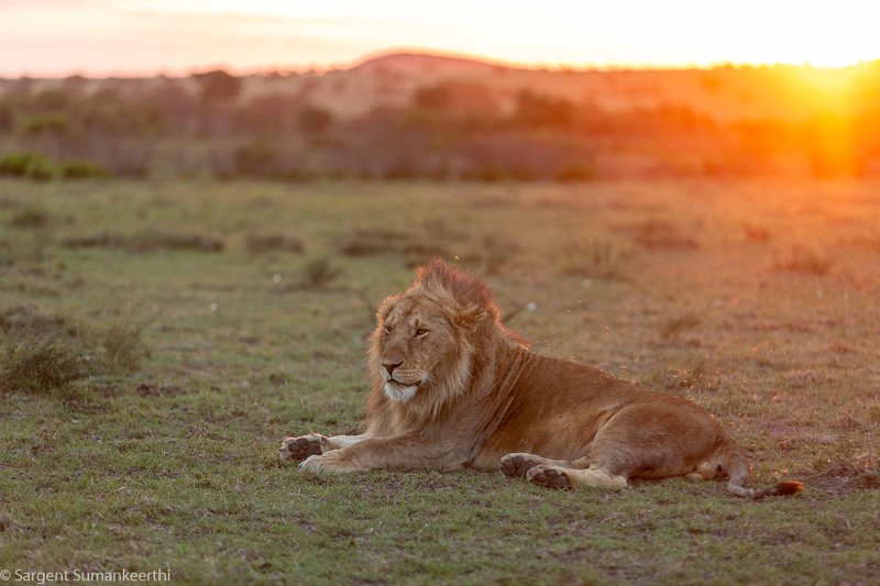 Enjoying the evening фото превью