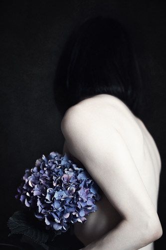 Flower Bed