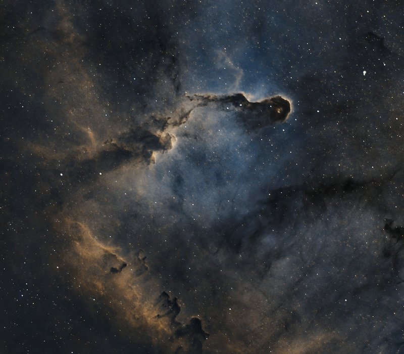 elephant trunk, nebula, astrophoto, astro, space, stars Elephant trunk nebula, Cepheus фото превью