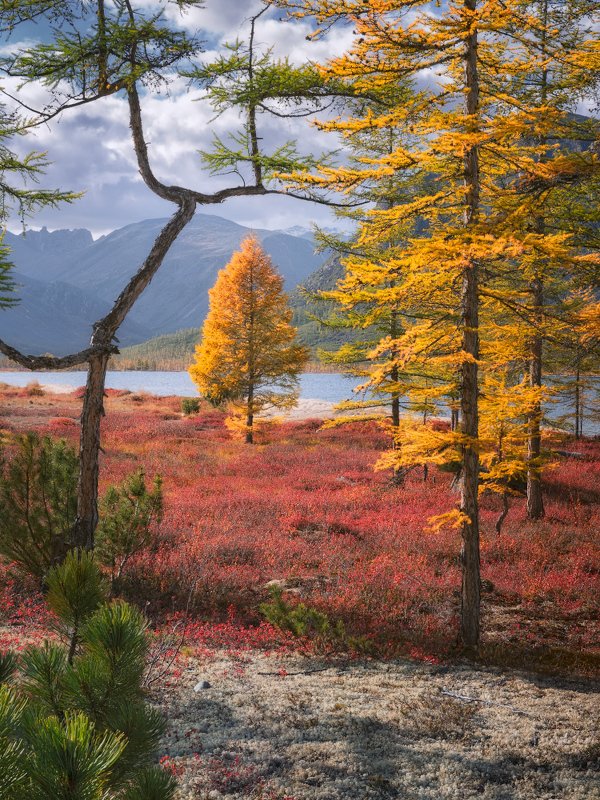 колыма, осень, озеро Цвета осенней Колымы фото превью
