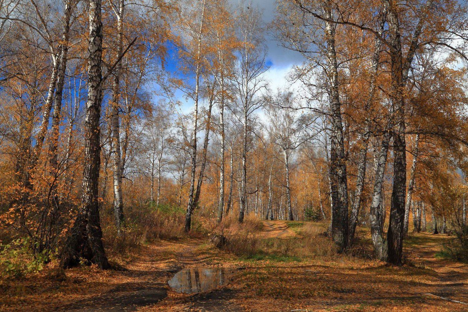 , Евгений Зинов