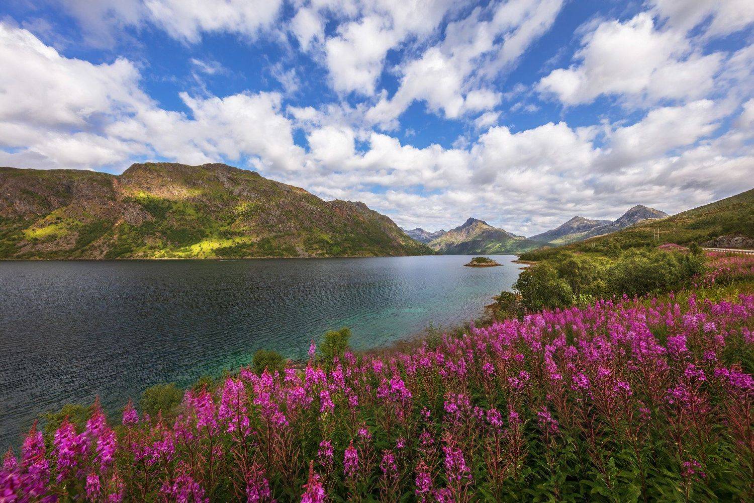 , Марат Макс.