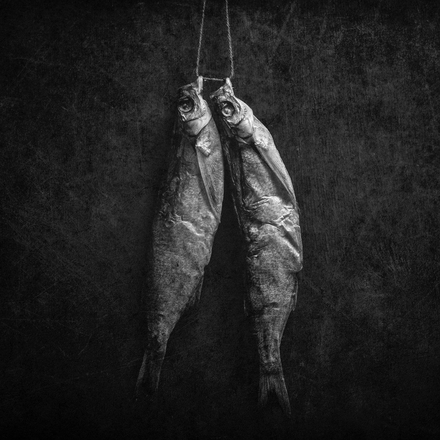 , Осипкин Алексей