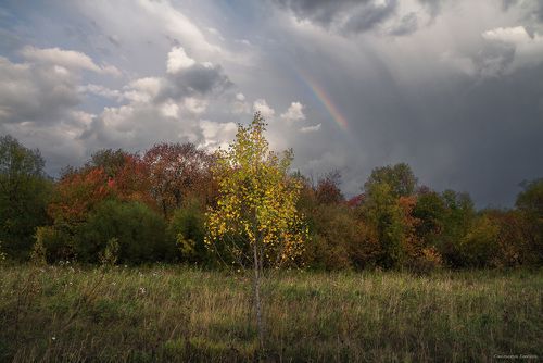 Радужная осень