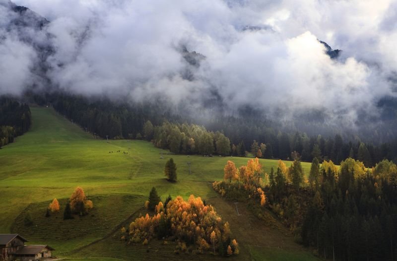 Альпийские луга фото превью