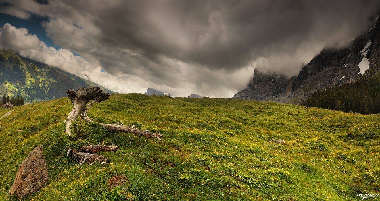 swiss, Матвеев Николай