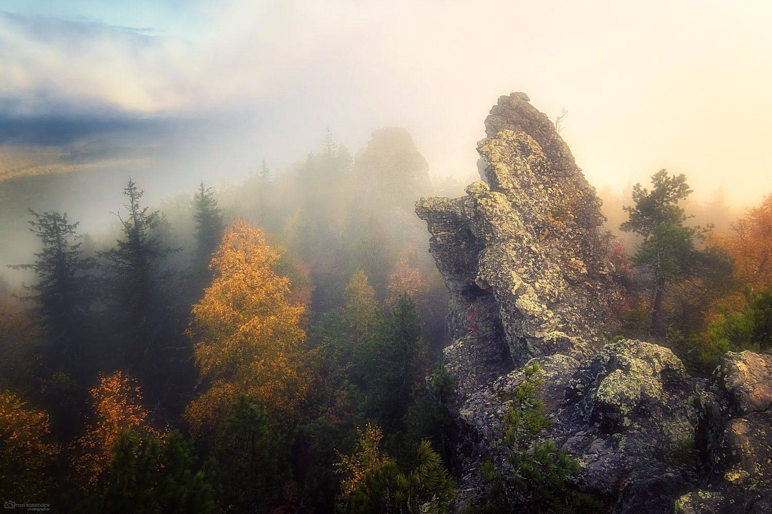 , Антон Кошетаров