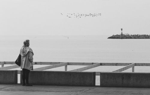 Открытки Сочинской весны.