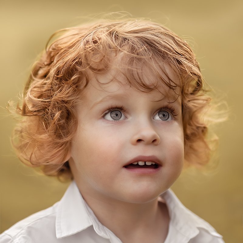 Ожидание чуда фото превью