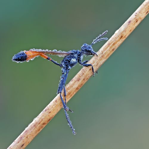 Я летала на метле