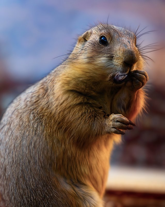 Что я натворил фото превью