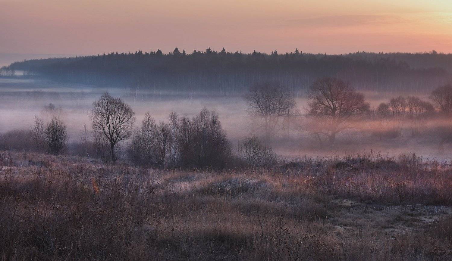 , Макеев Алексей