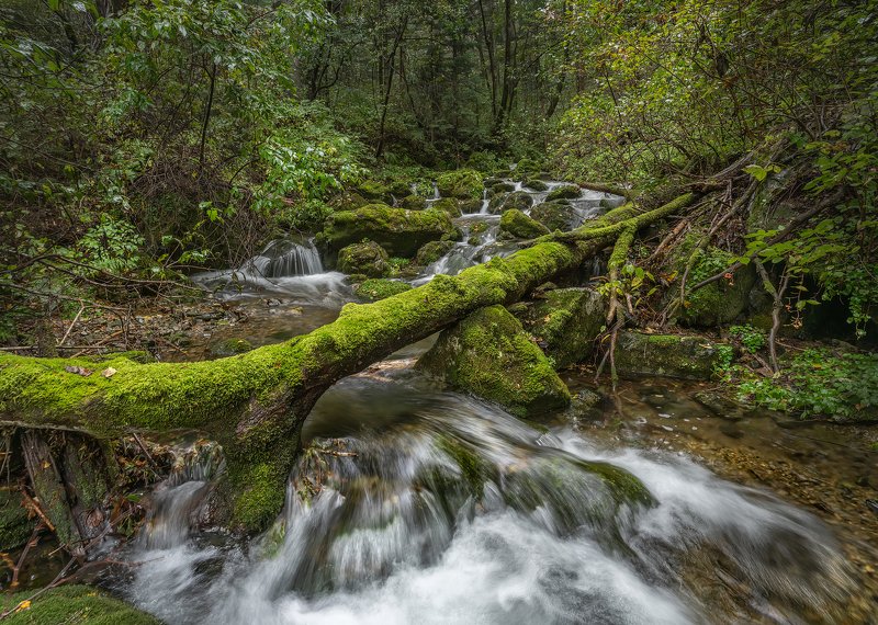 Таёжная речка. фото превью