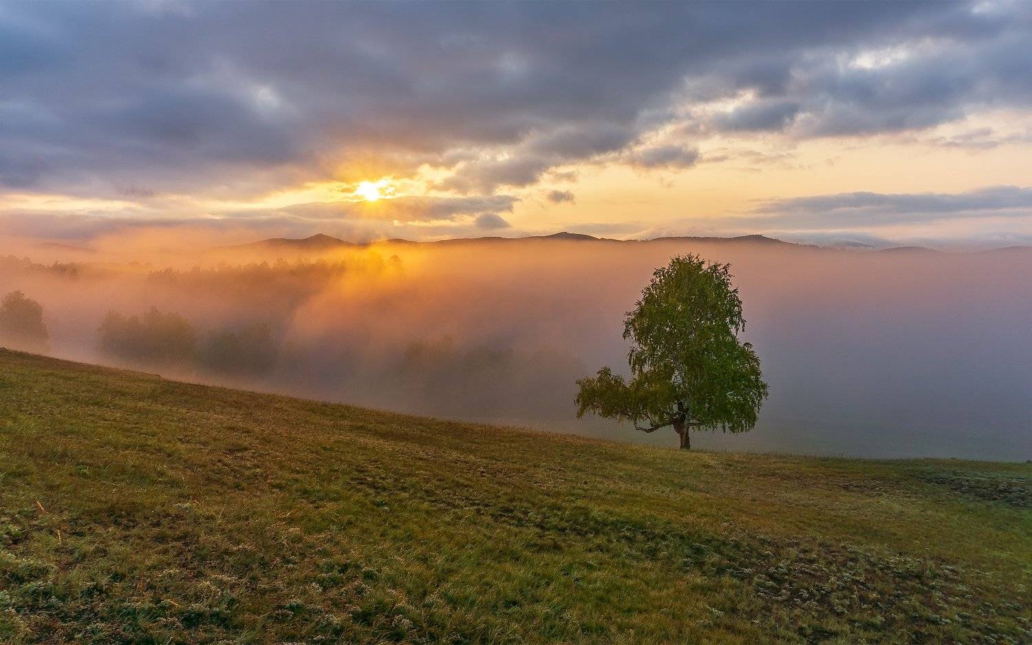 утро, рассвет, восход, туман, лучи, Леонид Максименко