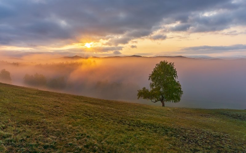 утро, рассвет, восход, туман, лучи Осенний этюд фото превью