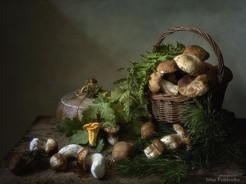 Наступает грибная пора