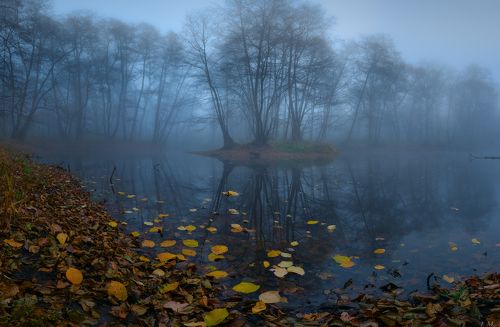 легенды осеннего леса ..