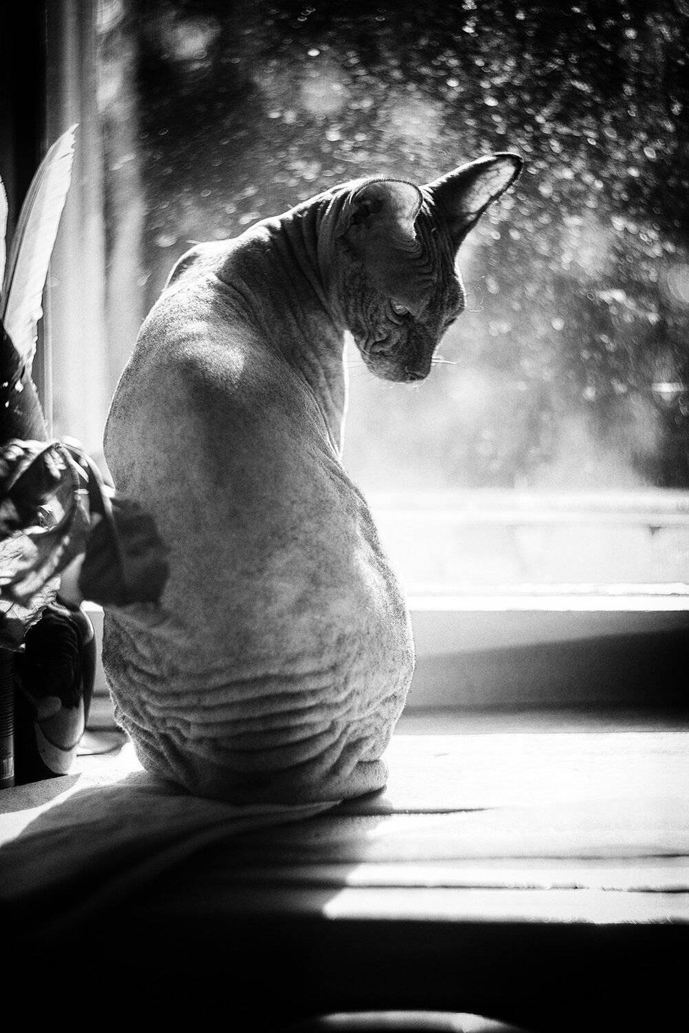 , Вячеслав Владимирович