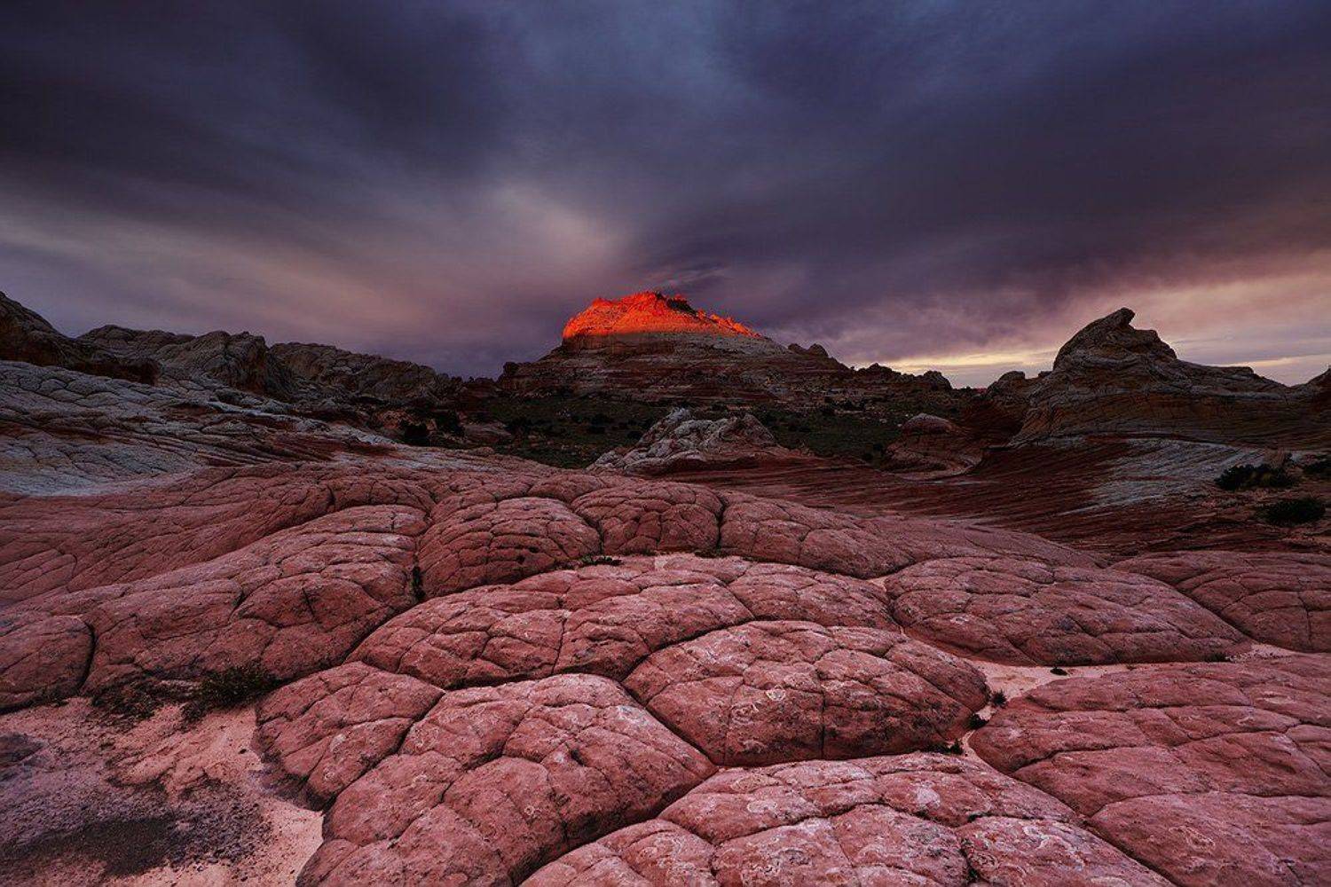 , Пичугин Дмитрий