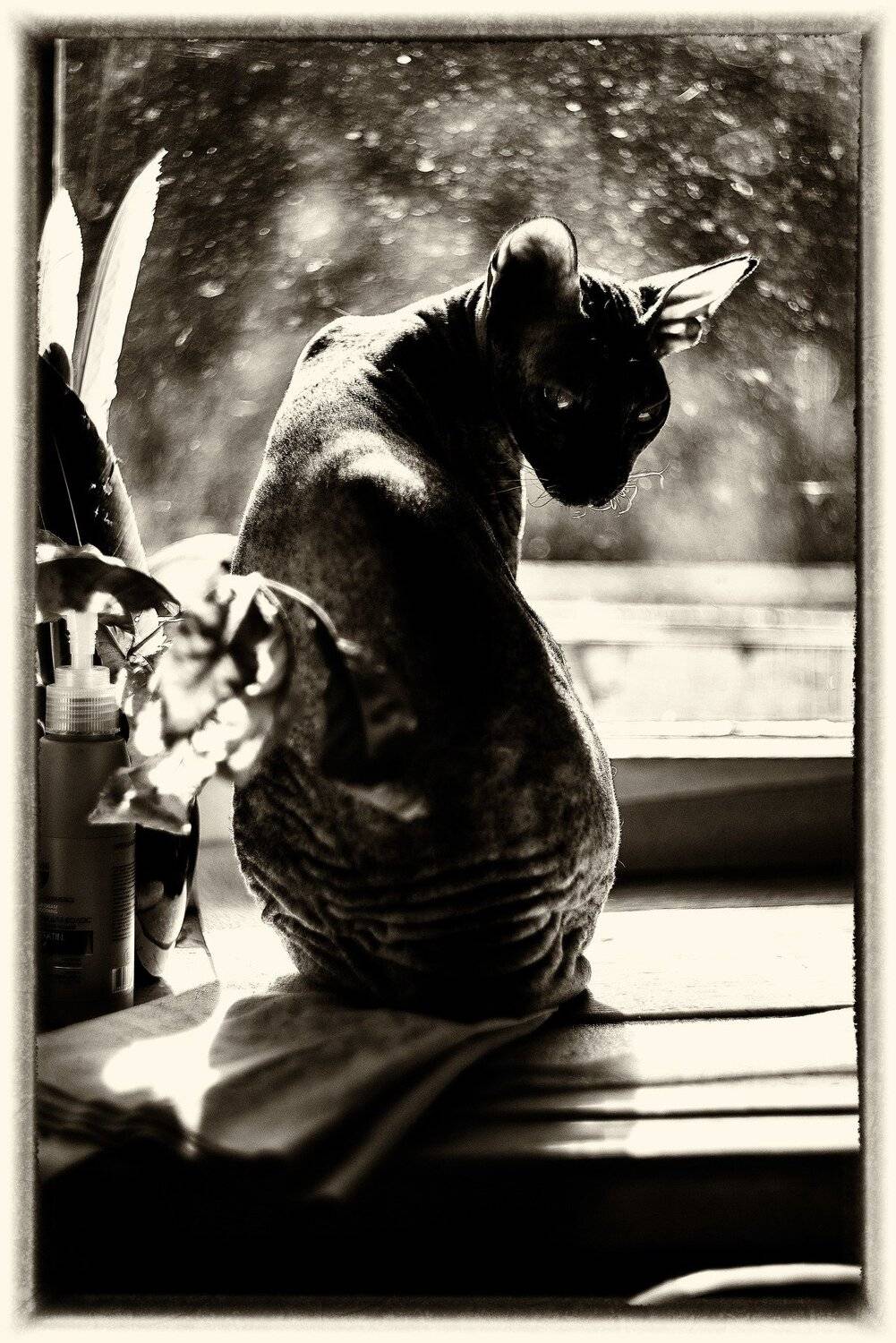 , Вячеслав Владимирович