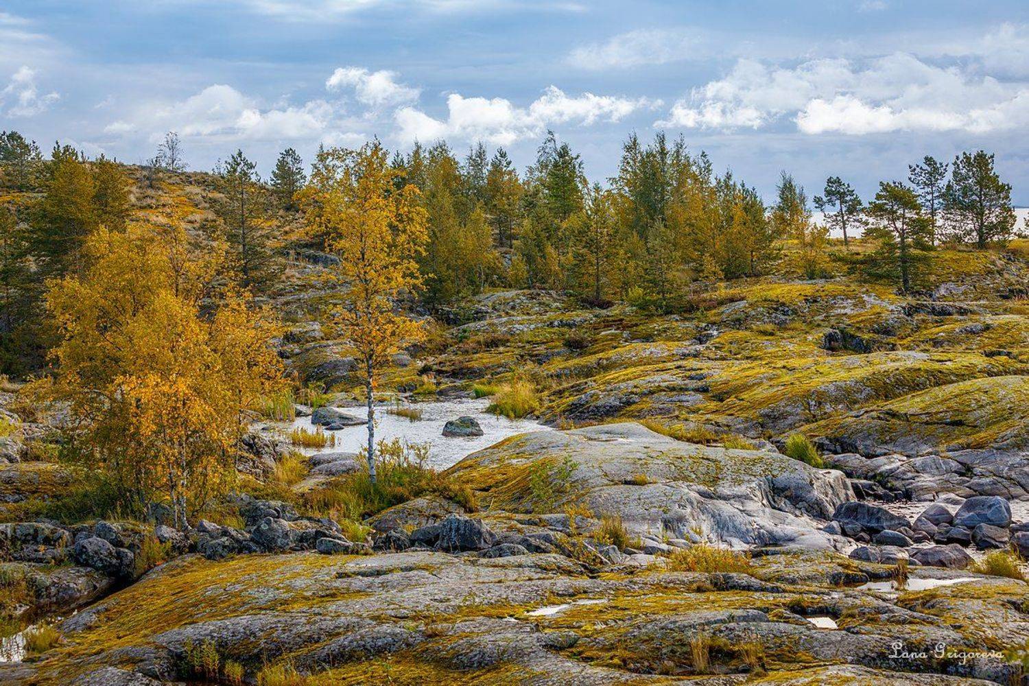 , Лана Григорьева