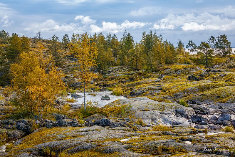 Утро с видом на Осень) фото превью