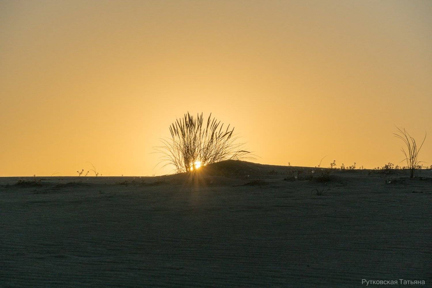, Татьяна Рутковская