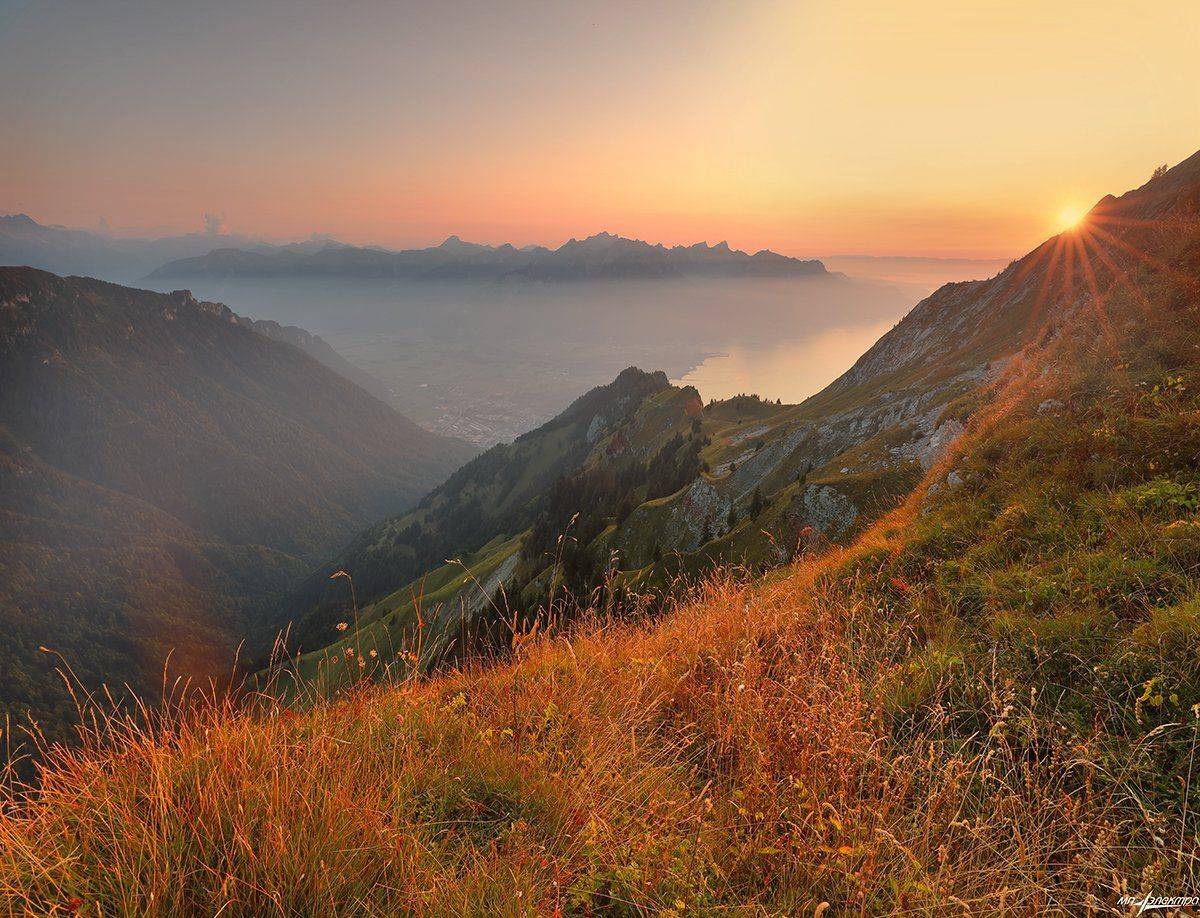 swiss, Матвеев Николай