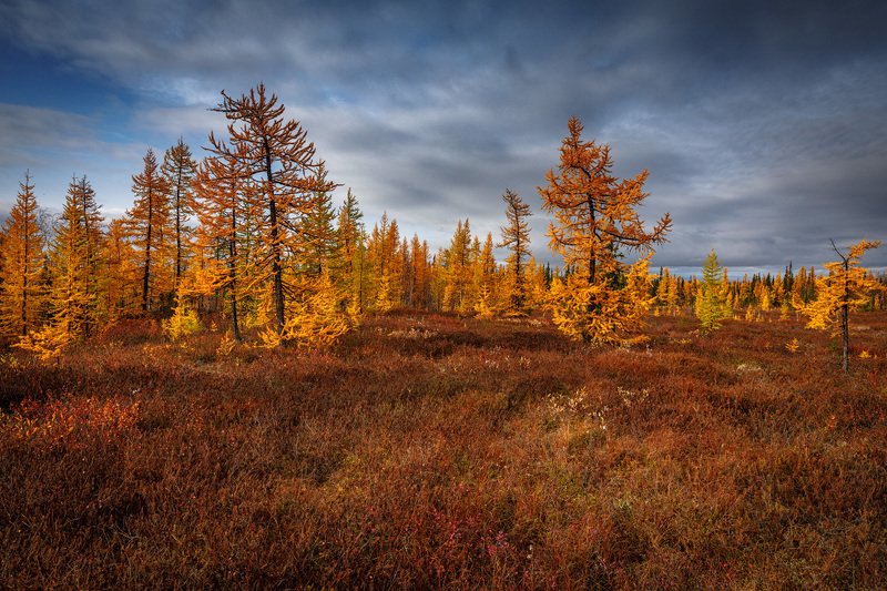Осень фото превью