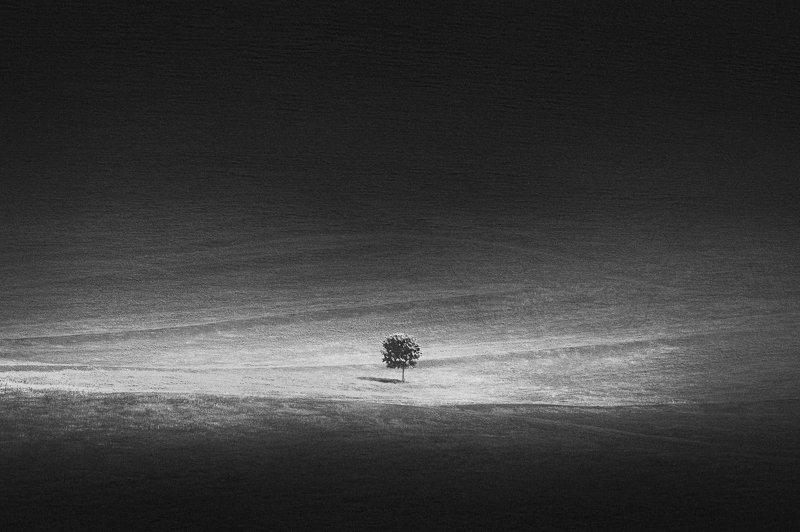 Свет и тень фото превью