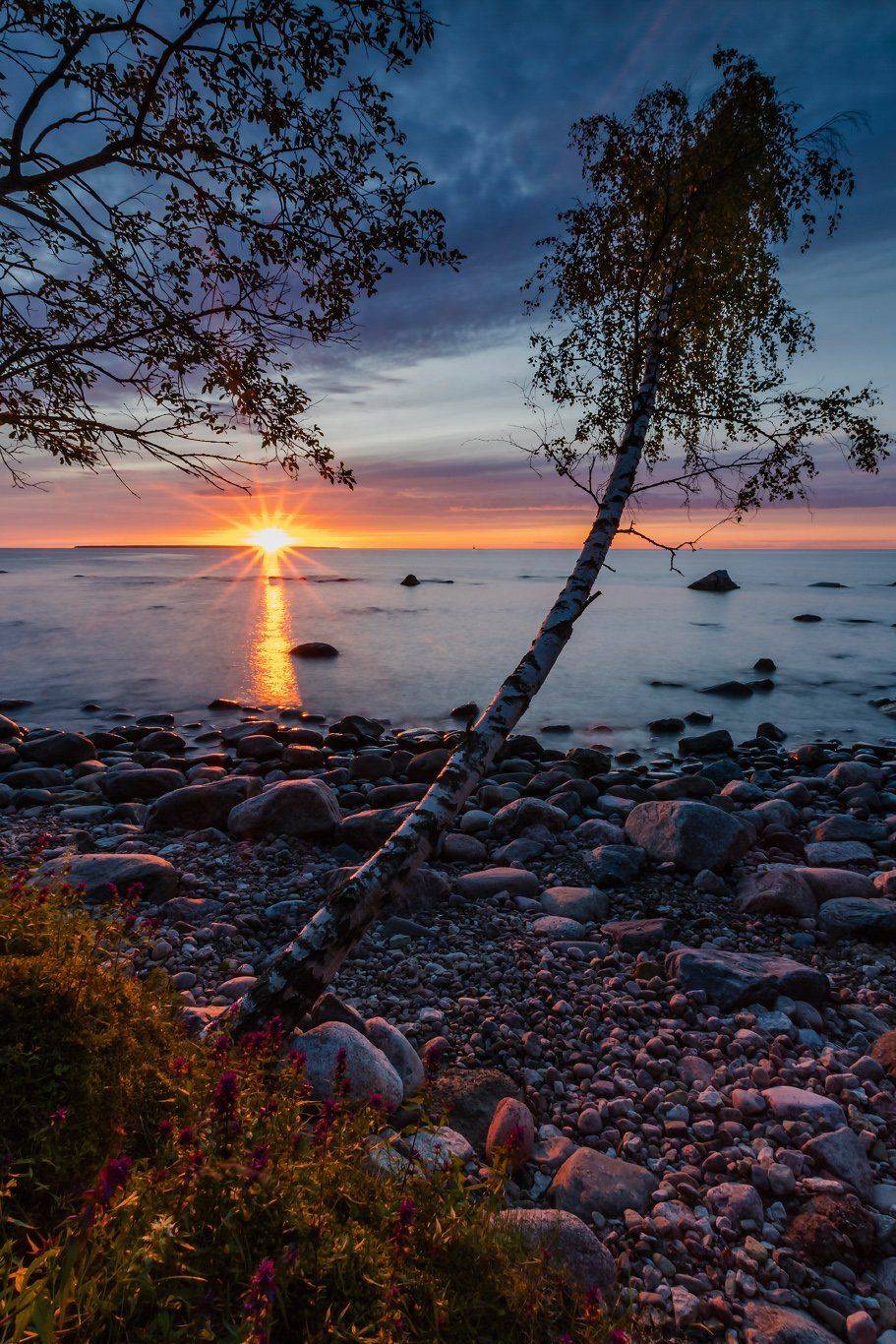 , Александр Абросимов