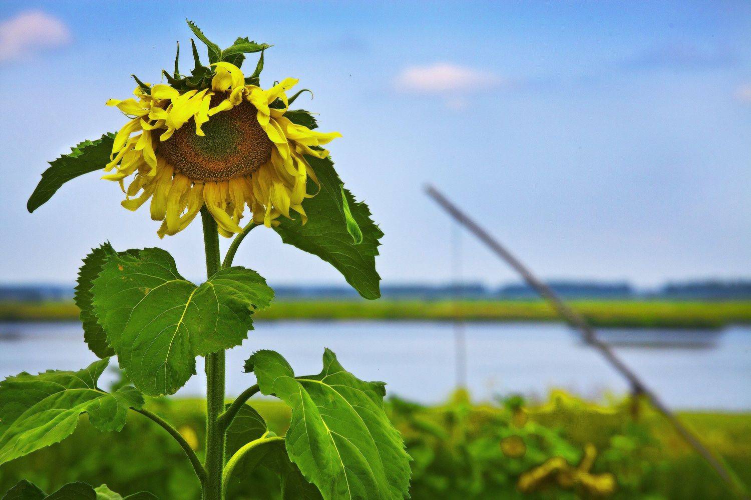 , Бусыгин Борис