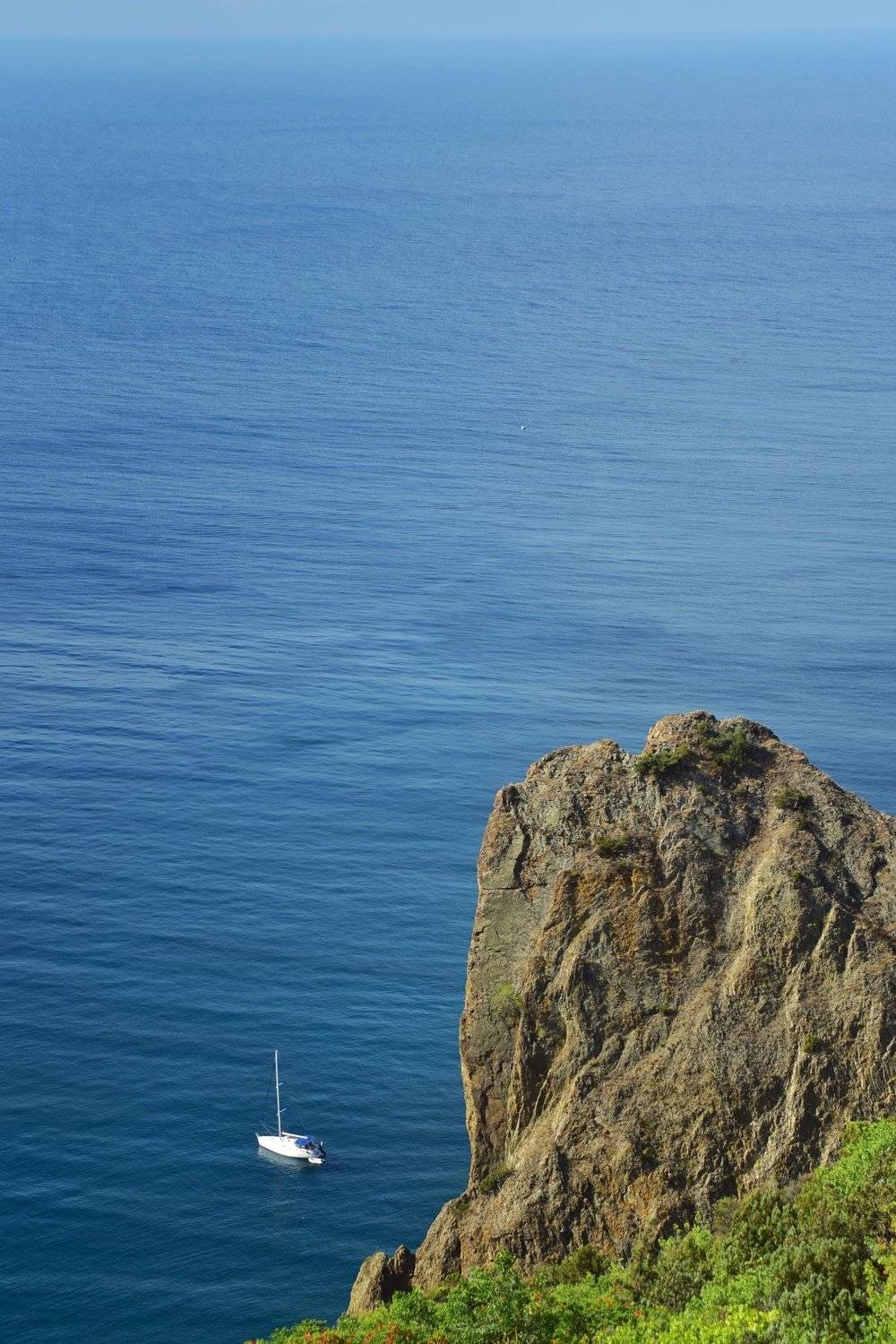 , Владимир Леликов-Кузьменко