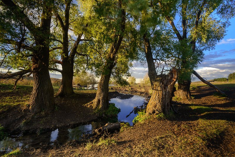осень, речка, вечер Речка... фото превью