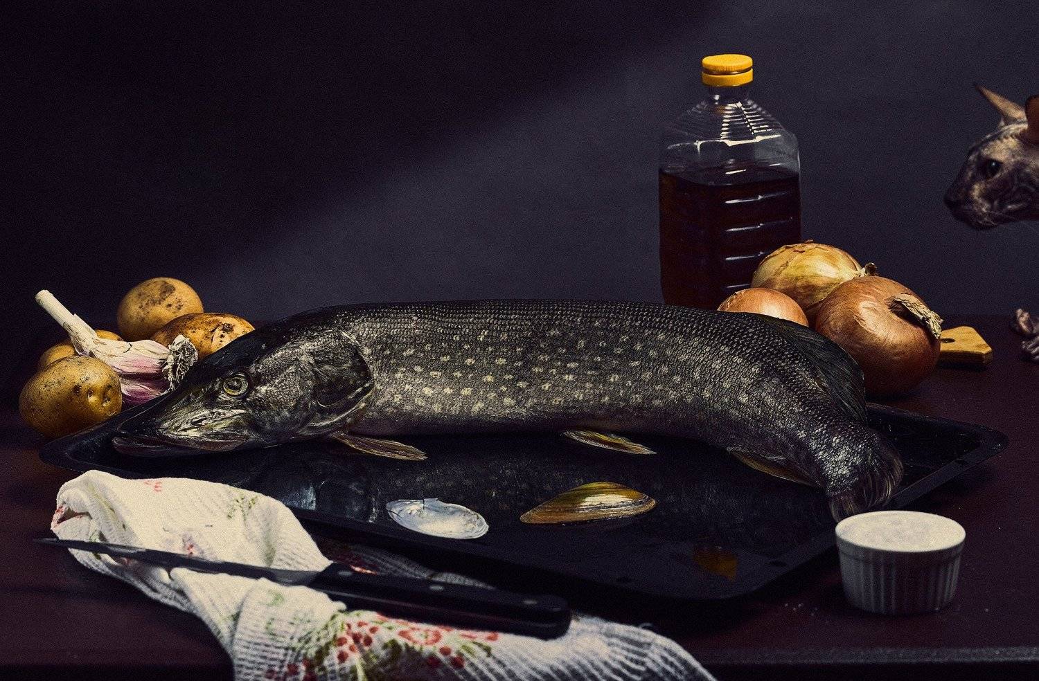 , Вячеслав Владимирович