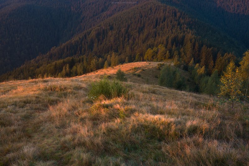 На рассвете фото превью