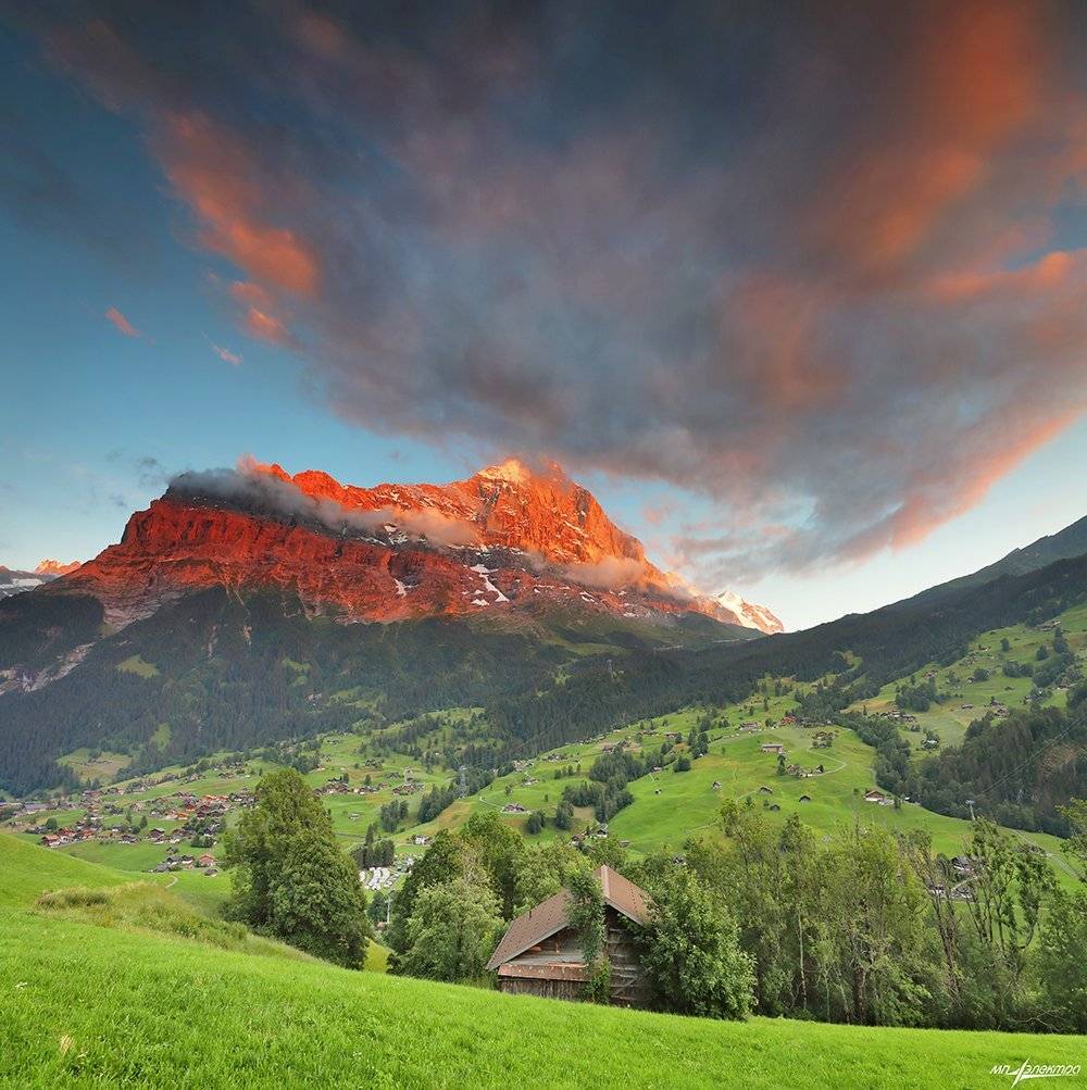 swiss, Матвеев Николай