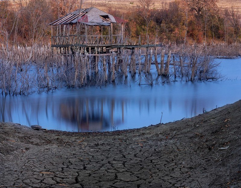 #ProDonbassLouisiana фото превью