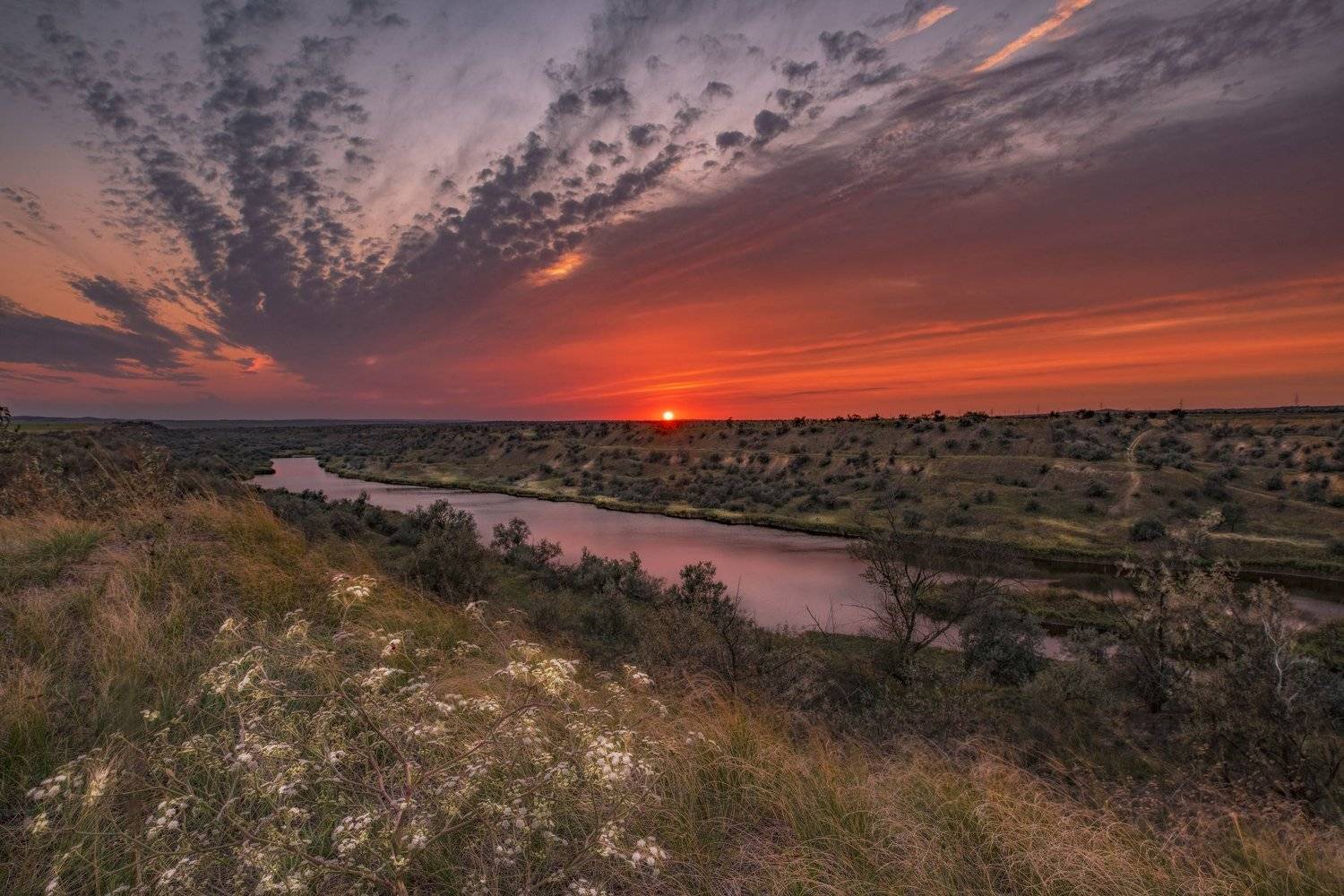 , Игорь Прошаков