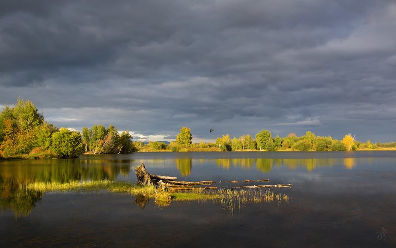 осень * * * фото превью