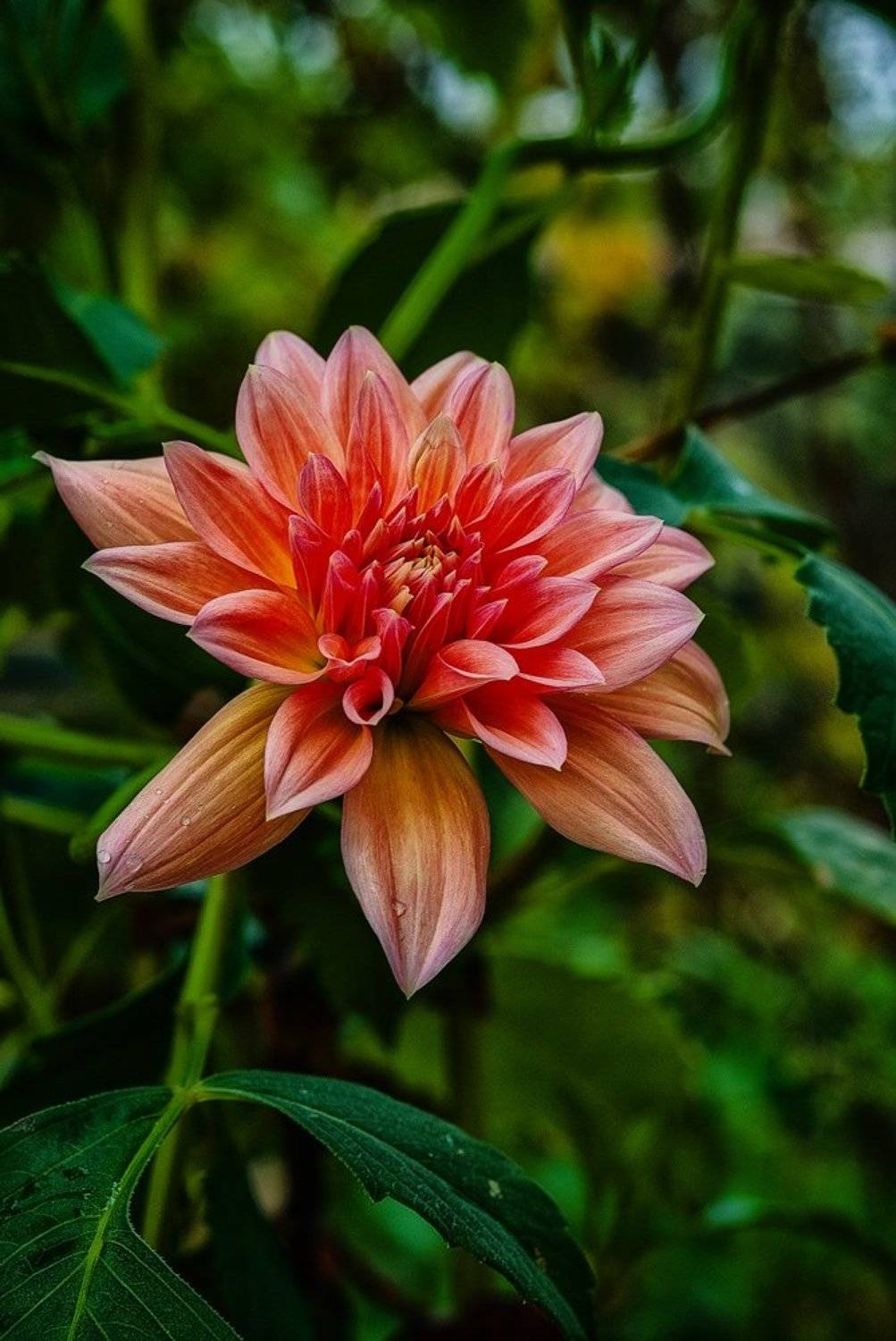 , Владимир Гамаюнов