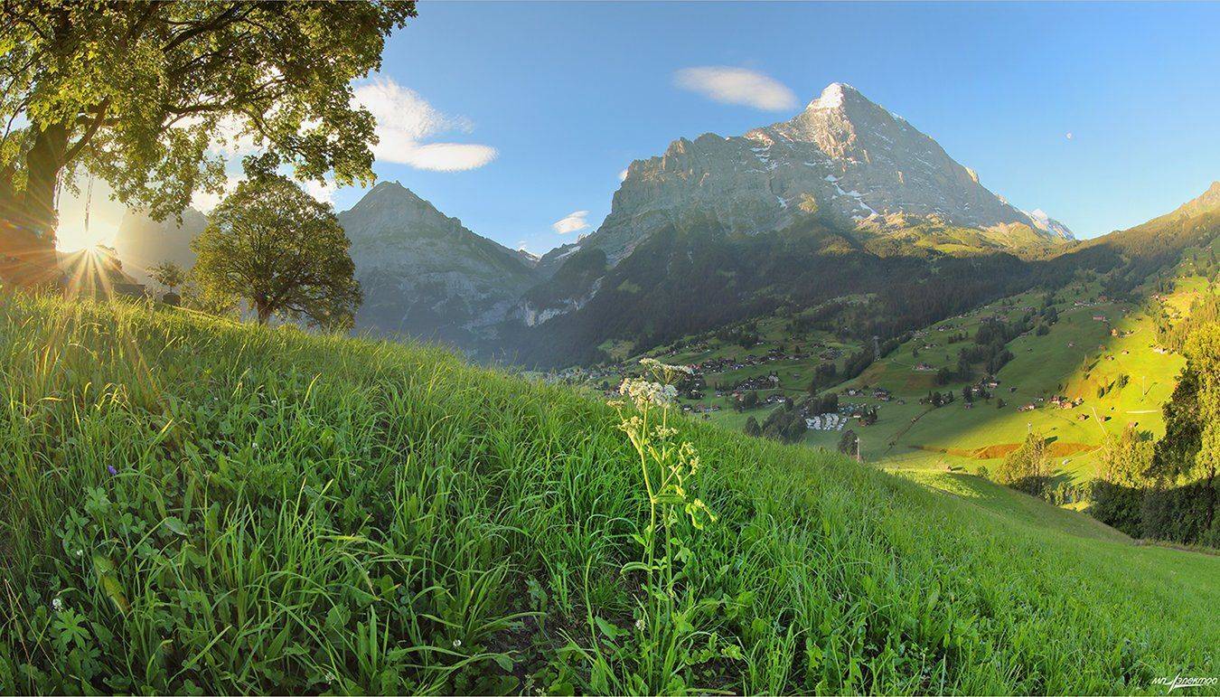 swiss, Матвеев Николай