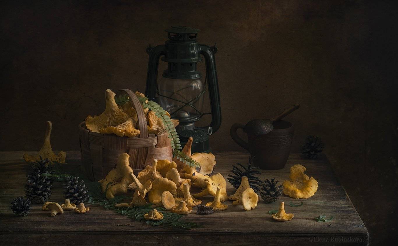 лисички,натюрморт,грибы, Елена Рубинская