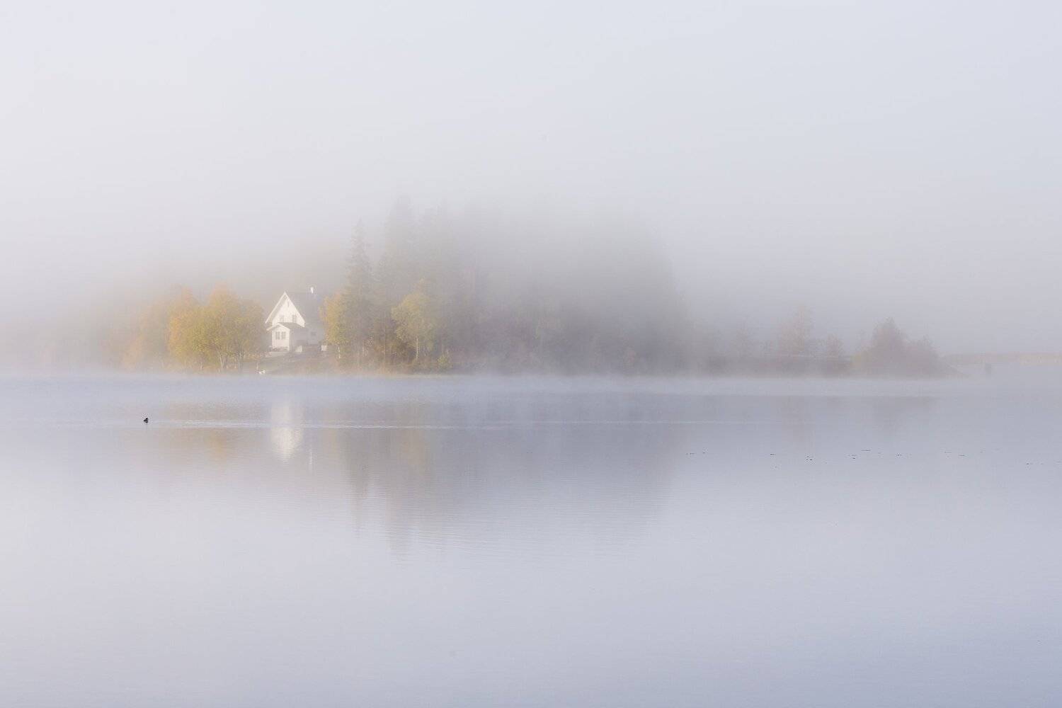 norway,morning,fog,foggy,misty,lake,lakescape,lake view,white,, Adrian Szatewicz