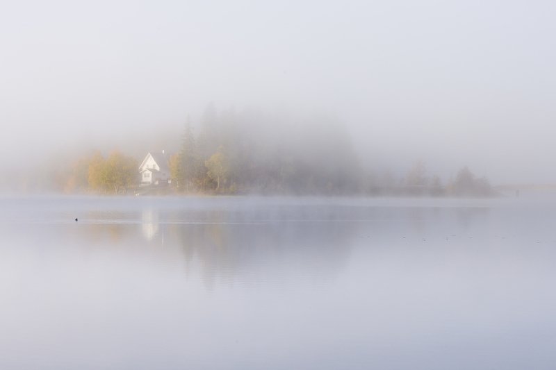 Hidden in fog фото превью